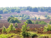 posbank1
